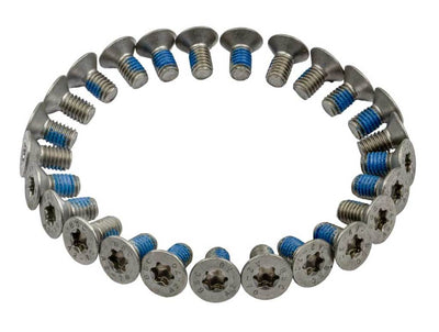 Bullone Anp m6x12 torx din 7991 a2-070 ds a 25