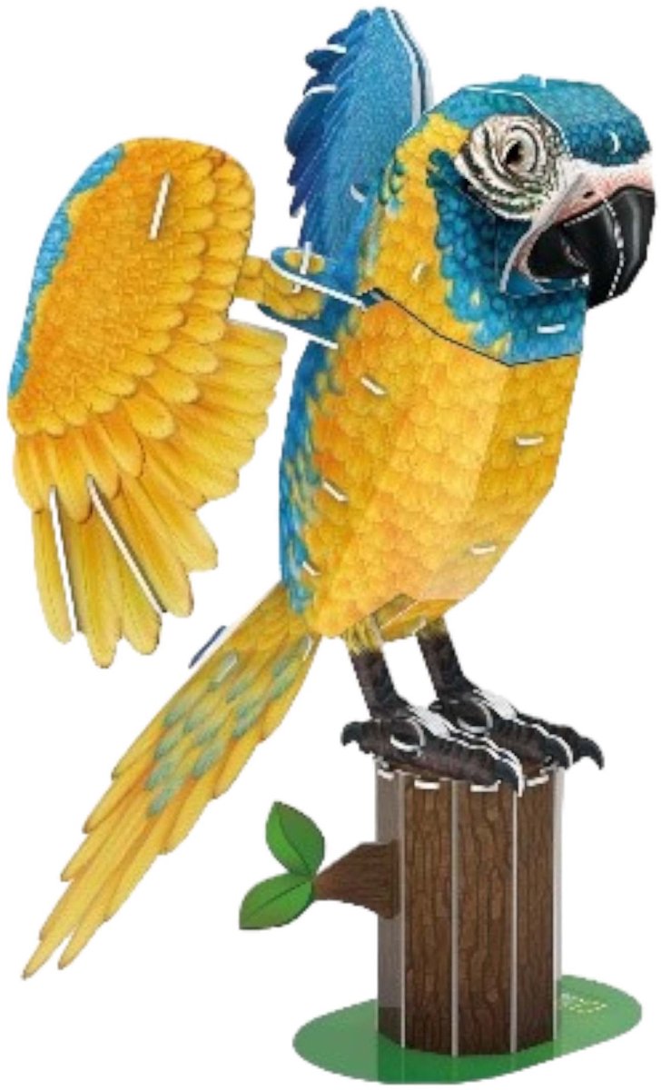 Divertente puzzle 3D cubico Ara geografica nazionale, 94 pezzi.