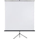 Schermo di proiezione Franken x-traline 220x220 cm bianco