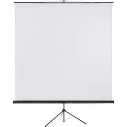 Schermo di proiezione Franken x-traline 240x240 cm bianco