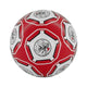 Football Ajax Old logo size 5