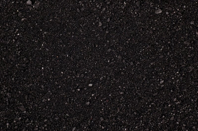 Komodo Caco nero sabbia