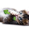Petstages fresh breath mint stick