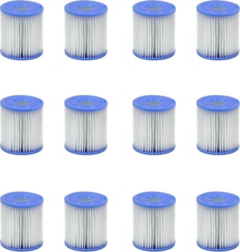 Intex 29007 29008 Filtercartridges H Set di 12 pezzi