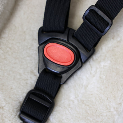 Bordo della scala del bambino Cargocomfy 0-9 mesi bianco