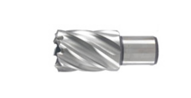 Hikoki accessoires kernboor 19x30 mm - 754408