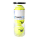 Engelhart tennisballen in koker, 3st.