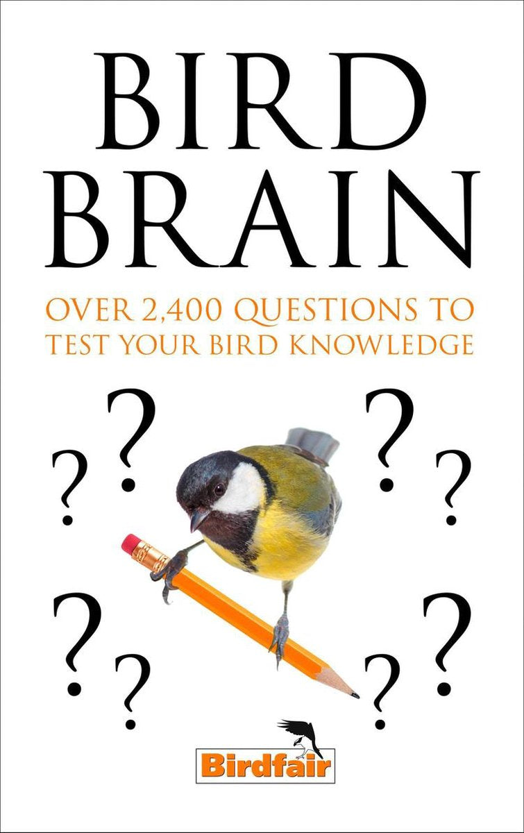 Cerebro de pájaro