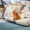 Rotho Rotho Toby Pets Carrier Antracite