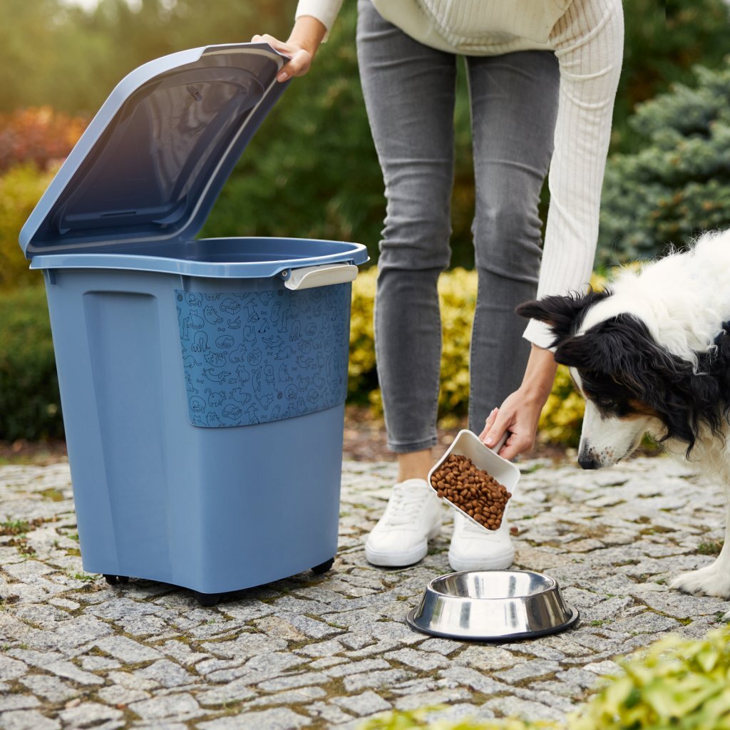 Rotho Rotho Archie Pet Food Container 38L Azul