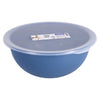 Rotho schaal met deksel 4.8l horizon blauw