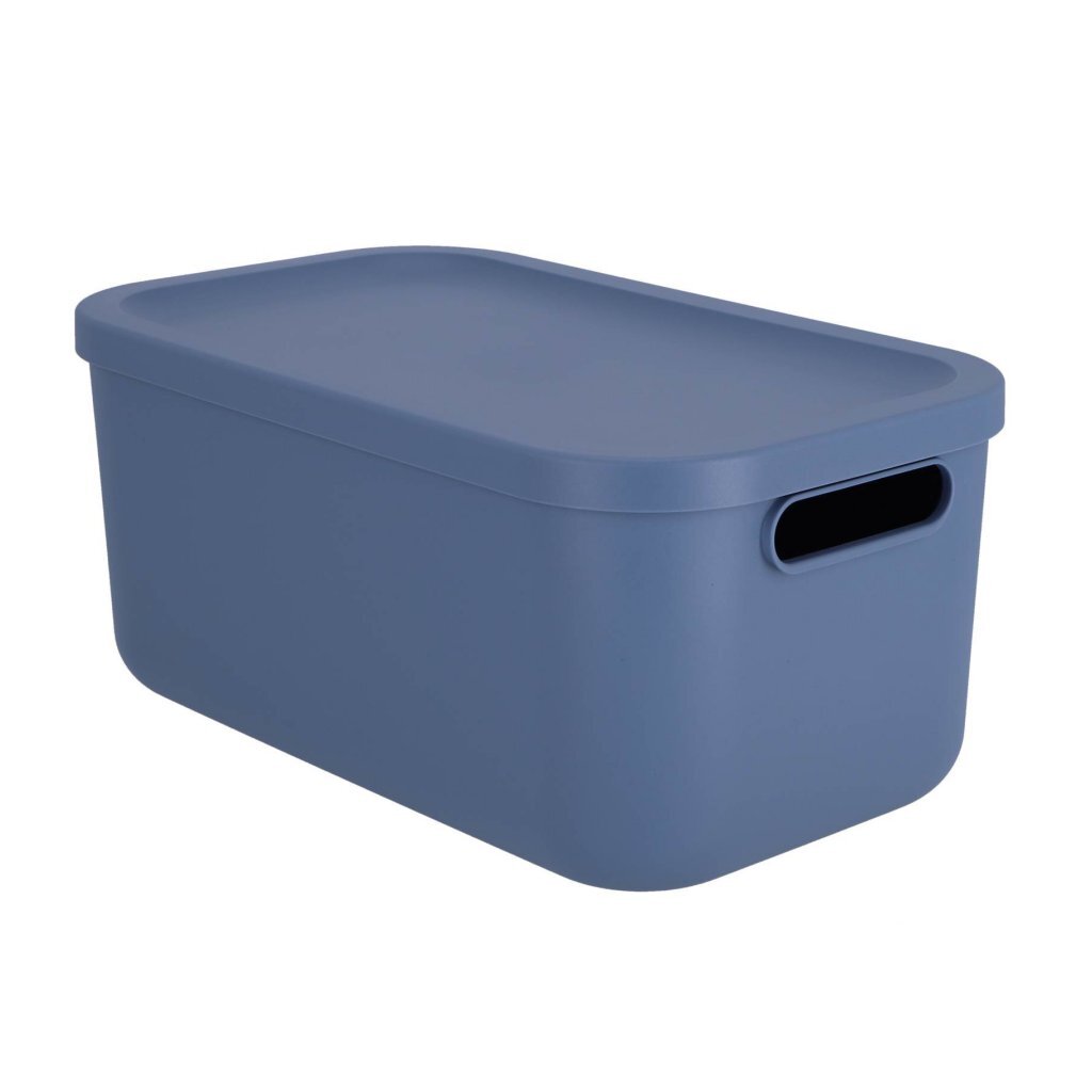 Rotho Decoration Storagebox Albula Light 12 L Horizon Blue