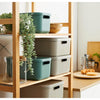 Rotho Decoration StorageBox Albula Light 20 L Anthracite