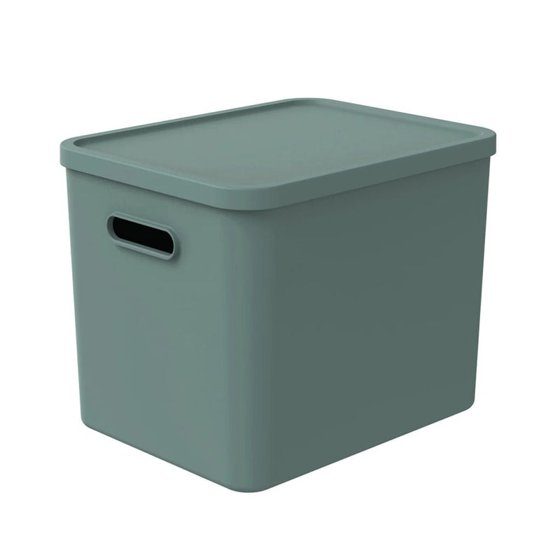 Rotho albula multibox 29,5x29x37 cm 27l verde muérdago