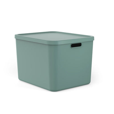 Rotho albula multibox 55l verde vischio
