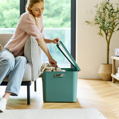 Rotho albula multibox 55l verde vischio