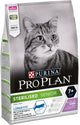 plan profesional
