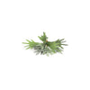 Countryfield planta artificial platycerium verde 10xh63,5cm