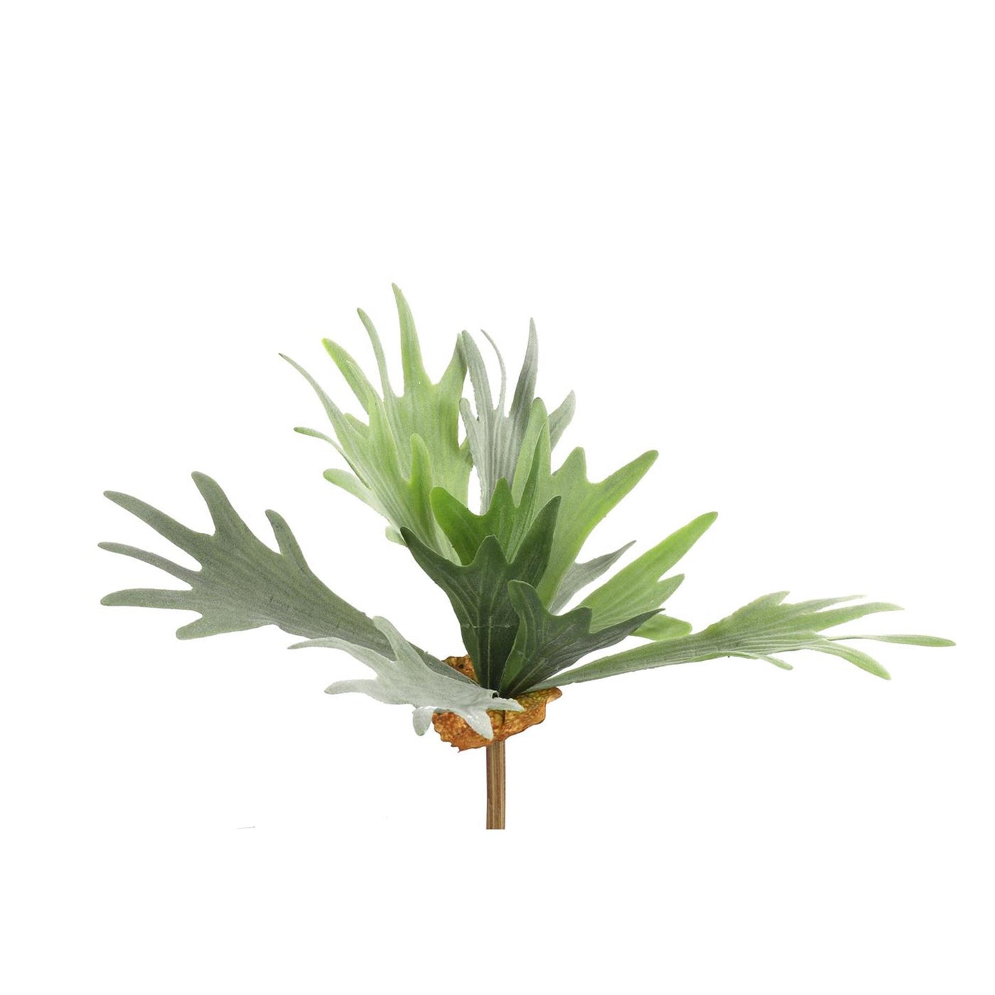 Countryfield planta artificial platycerium verde 10xh63,5cm