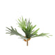 Countryfield planta artificial platycerium verde 10xh63,5cm