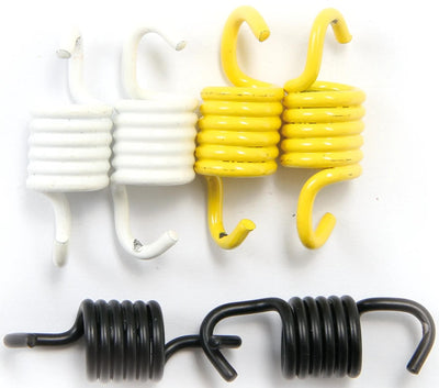 Malossi coupling spring