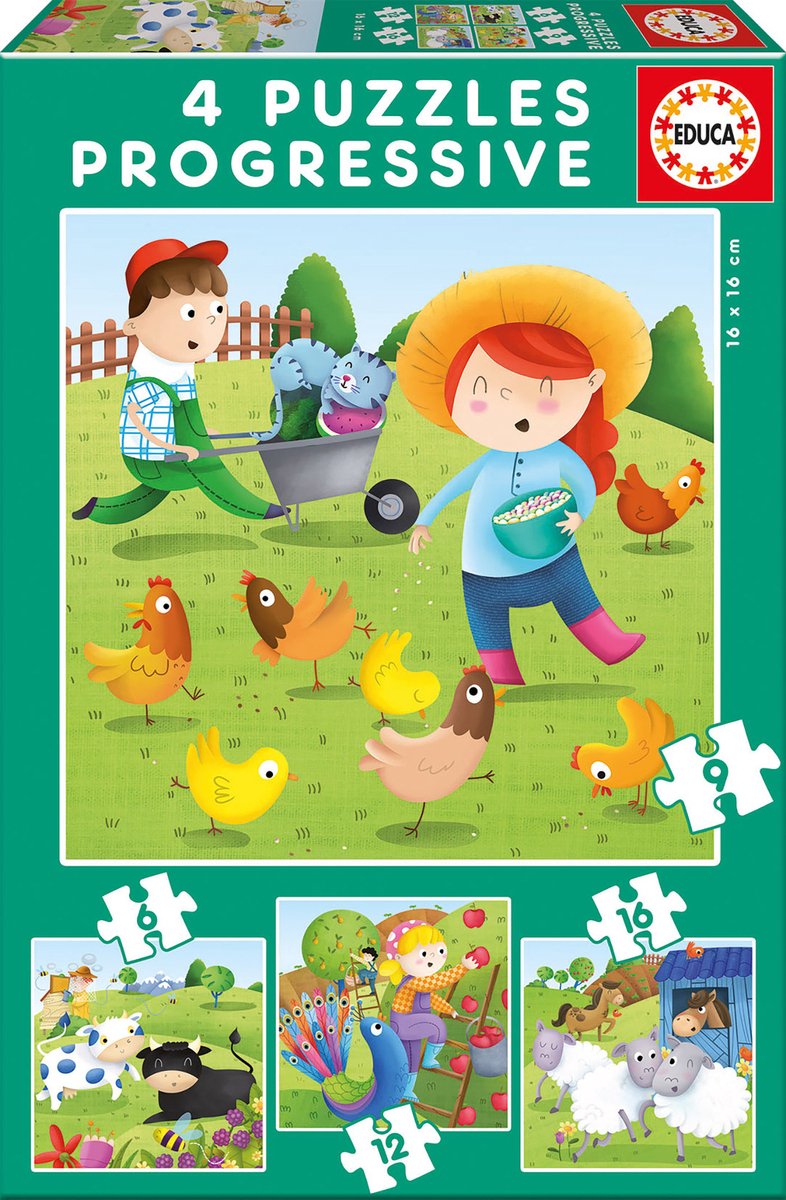 Educa puzzel - 4 progressieve puzzels