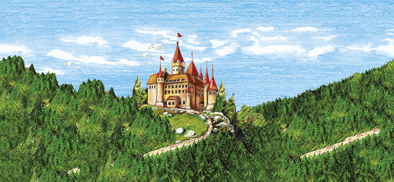 Faber Castell Faber Castell FC-120148 Lápiz de color Faber-Castell Castle Cardboard Hexagonal Cardboard con 48 piezas