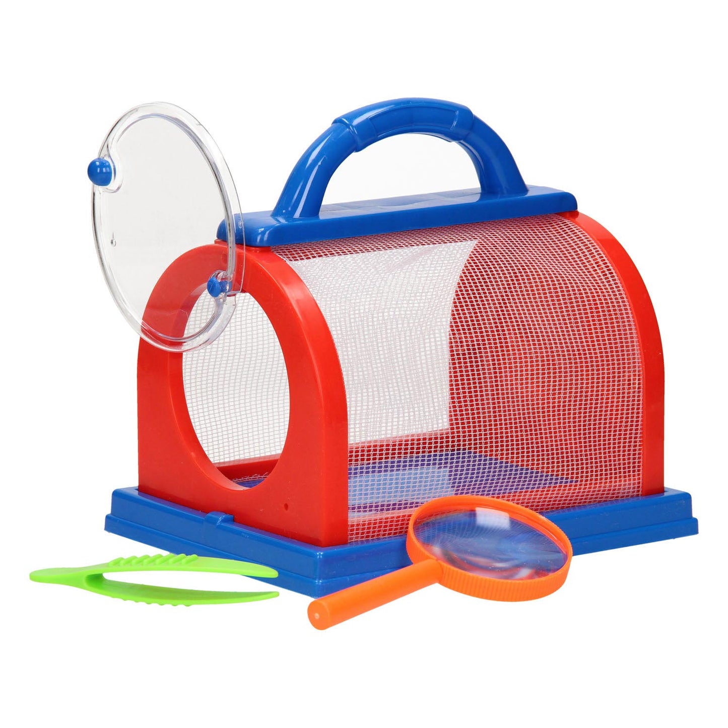 Gabinetto di osservazione degli insetti blu rosso, 3dlg.