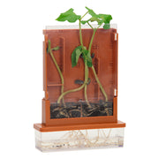 Experimenten - planten doolhof, 21dlg. - afbeelding 4