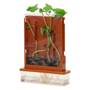 Experimenten - planten doolhof, 21dlg. - afbeelding 5