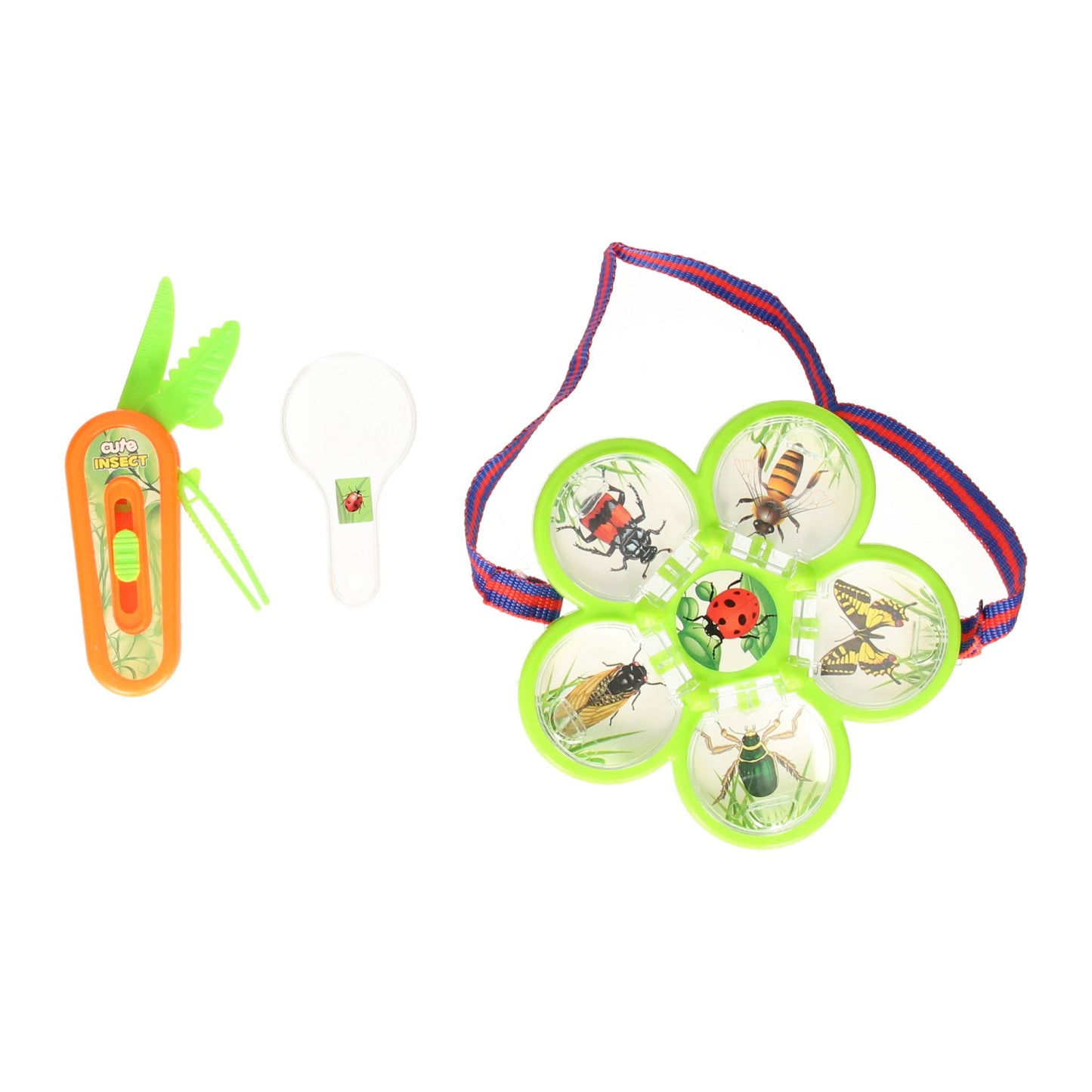 Set di insetti del mondo degli insetti