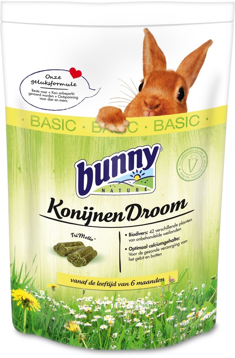 Conejito Naturaleza Rabbit Dream Basic