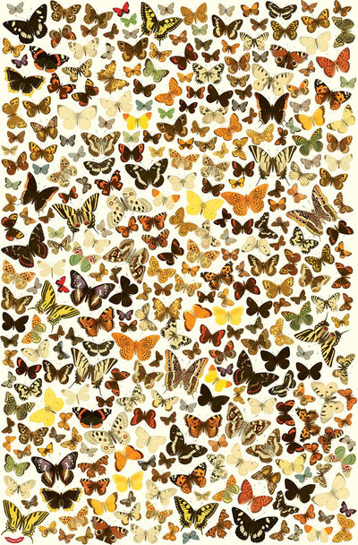 Cartel del juego Stratier XL - encuentra los doppelgangers - mariposas