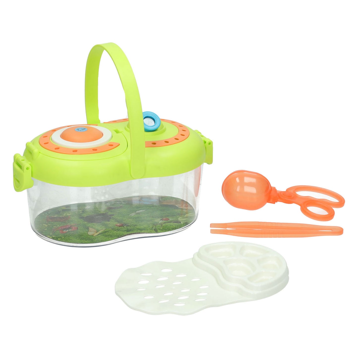 Maceta para insectos multifuncional
