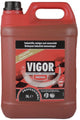 Detergente multiuso Vigor - flacone originale - 5 litri