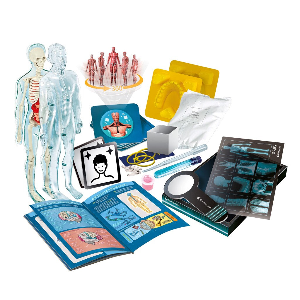 Clementoni wetenschap super anatomie