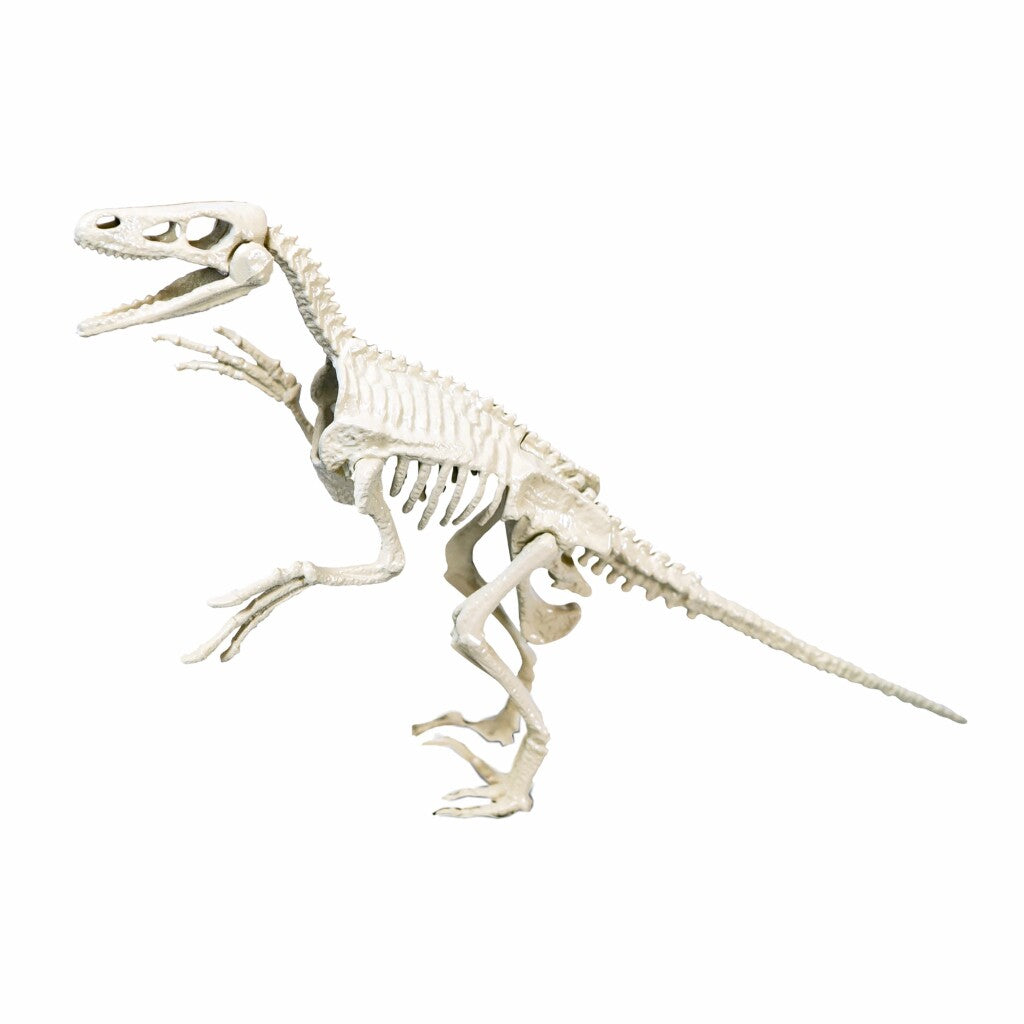 CLEMENTONI CIENCIA Juego arqueospel Velociraptor