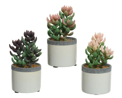 Decoris planta artificial planta suculenta en maceta de cerámica h14