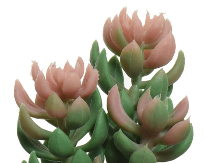 Decoris planta artificial planta suculenta en maceta de cerámica h14
