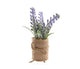 Decoris pianta artificiale lavanda h12cm
