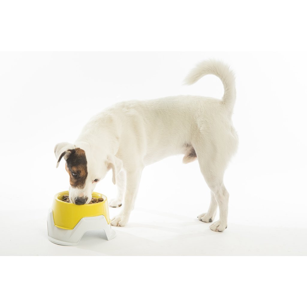 Bama PET Feeding Bin Stackable 19x10-13 cm Assorti