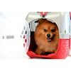 Bama Pet Transportbox 52x33x34 cm Silver rosso