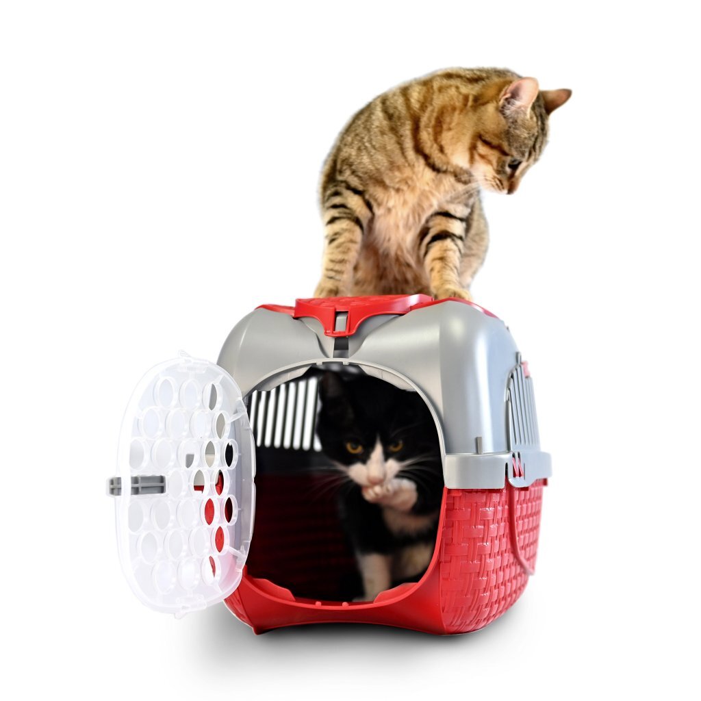 Bama Pet Transportbox 52x33x34 cm Silver rosso