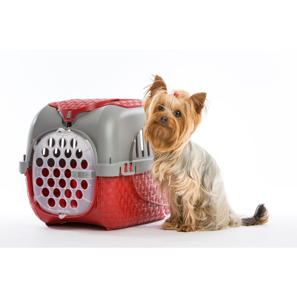 Bama Pet Transportbox 59x38x37 cm Silver rosso