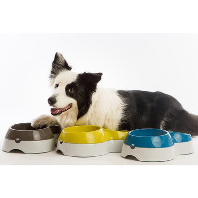 Alimentatore per animali domestici Bama con serbatoio dell'acqua 44x27x12 cm assorchi