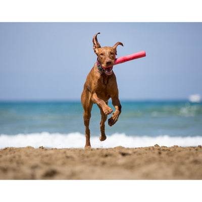 Bama Tuttomio Rubber Speelstok 11x4x37 cm Assorti