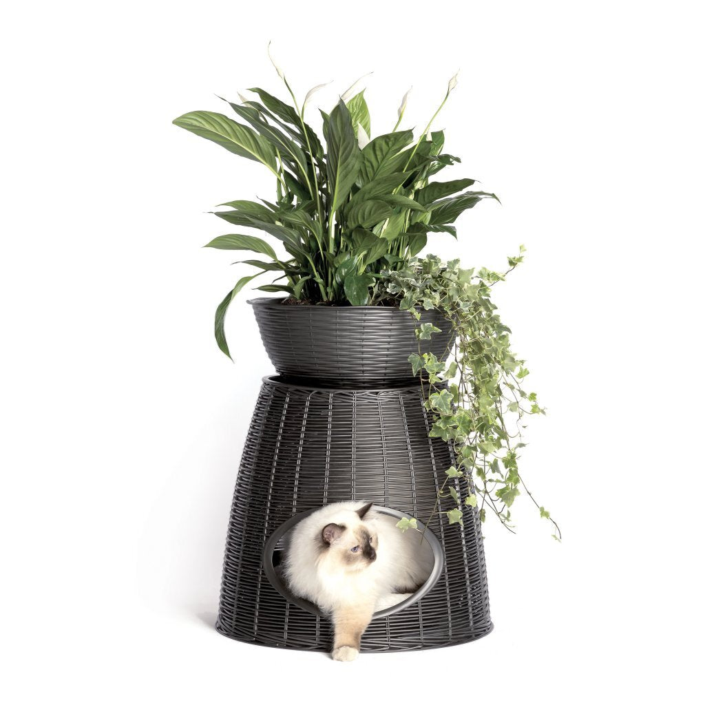 BAMA PET PASHA BAMBINE ANIMALE 52X50X46 55 cm Antracite