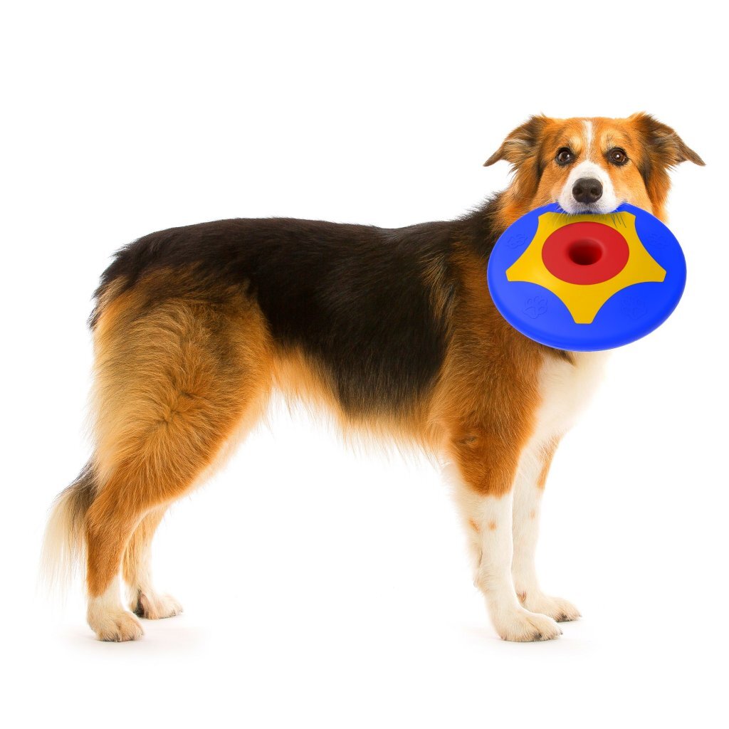 Giocattoli per cani disco di trotto per pet bama 24,5x4,5 cm di rosso giallo blu