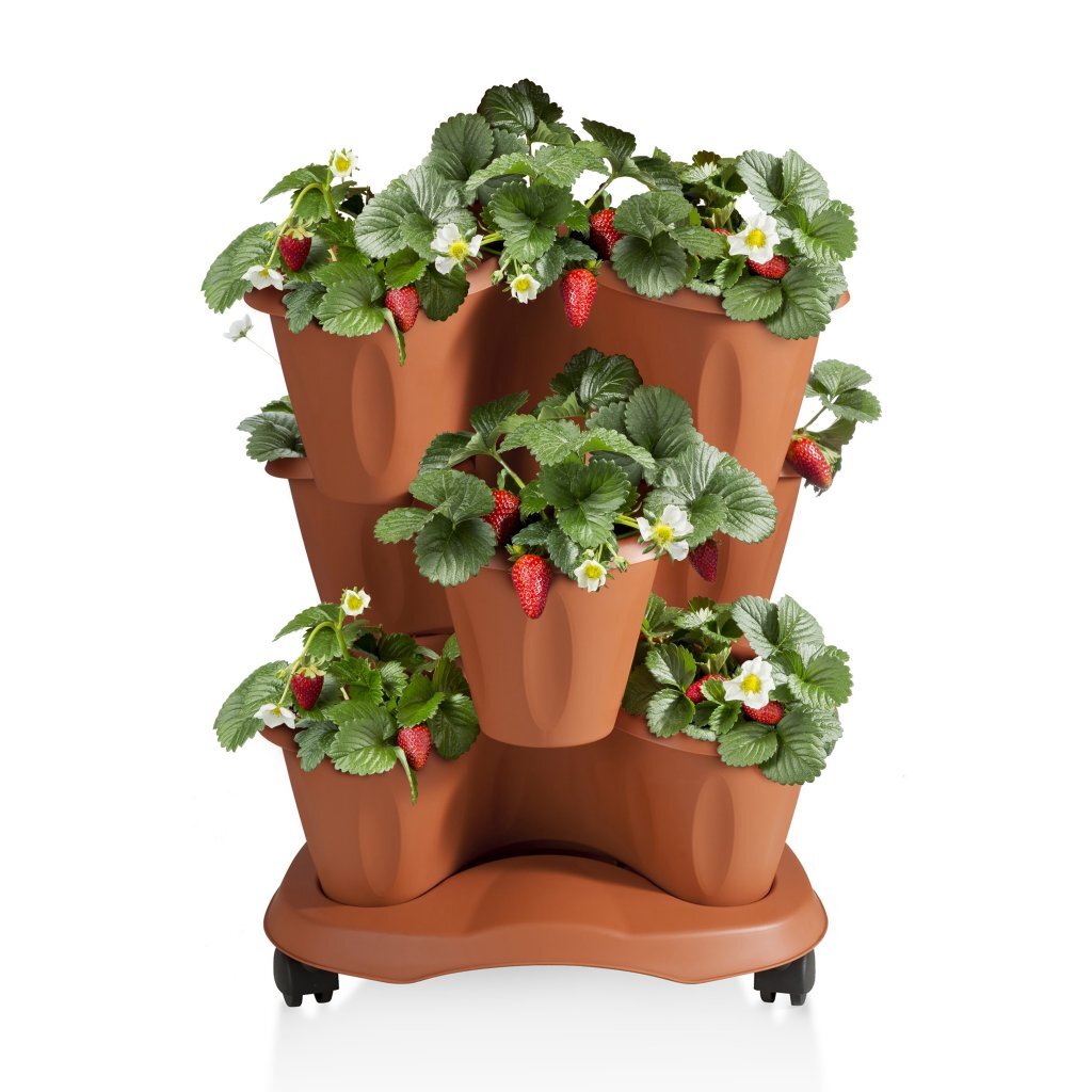 Bama trifoglio plantenbak met wieltjes 40x51 cm terracotta