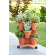 Bama trifoglio plantenbak met wieltjes 40x51 cm terracotta - afbeelding 3